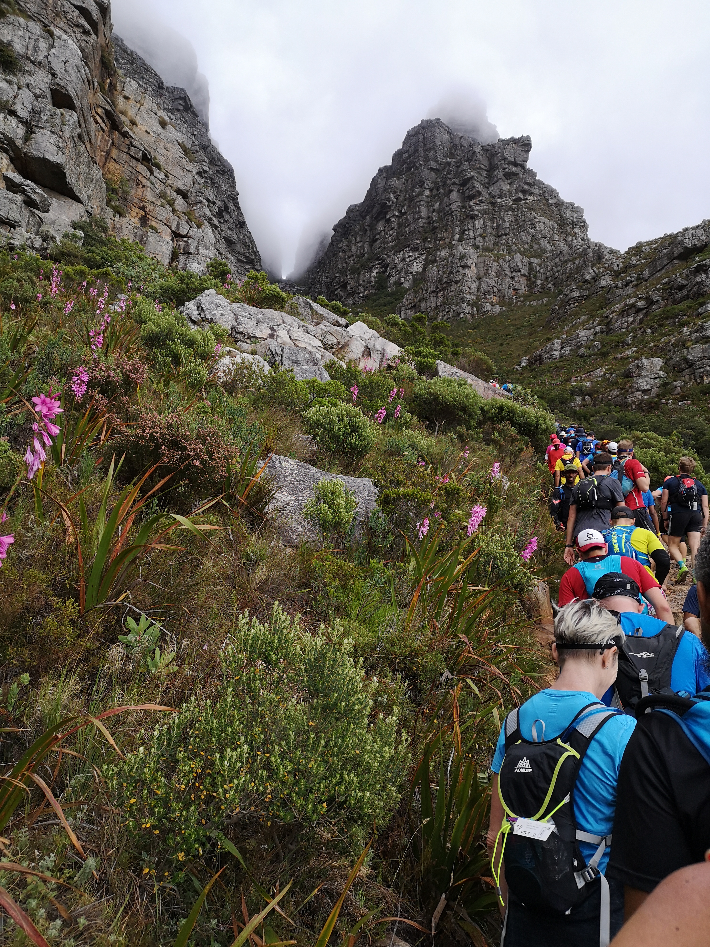 View of Platteklip Gorge during the ascent.