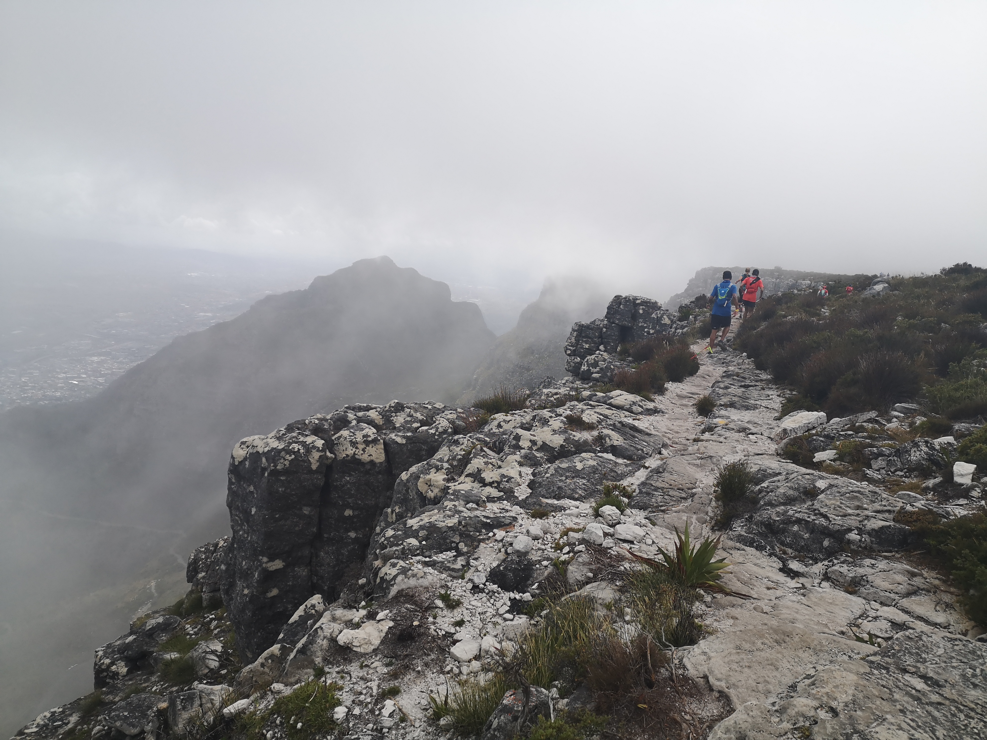 View of Devil's Peak from the top of Table Mountain.