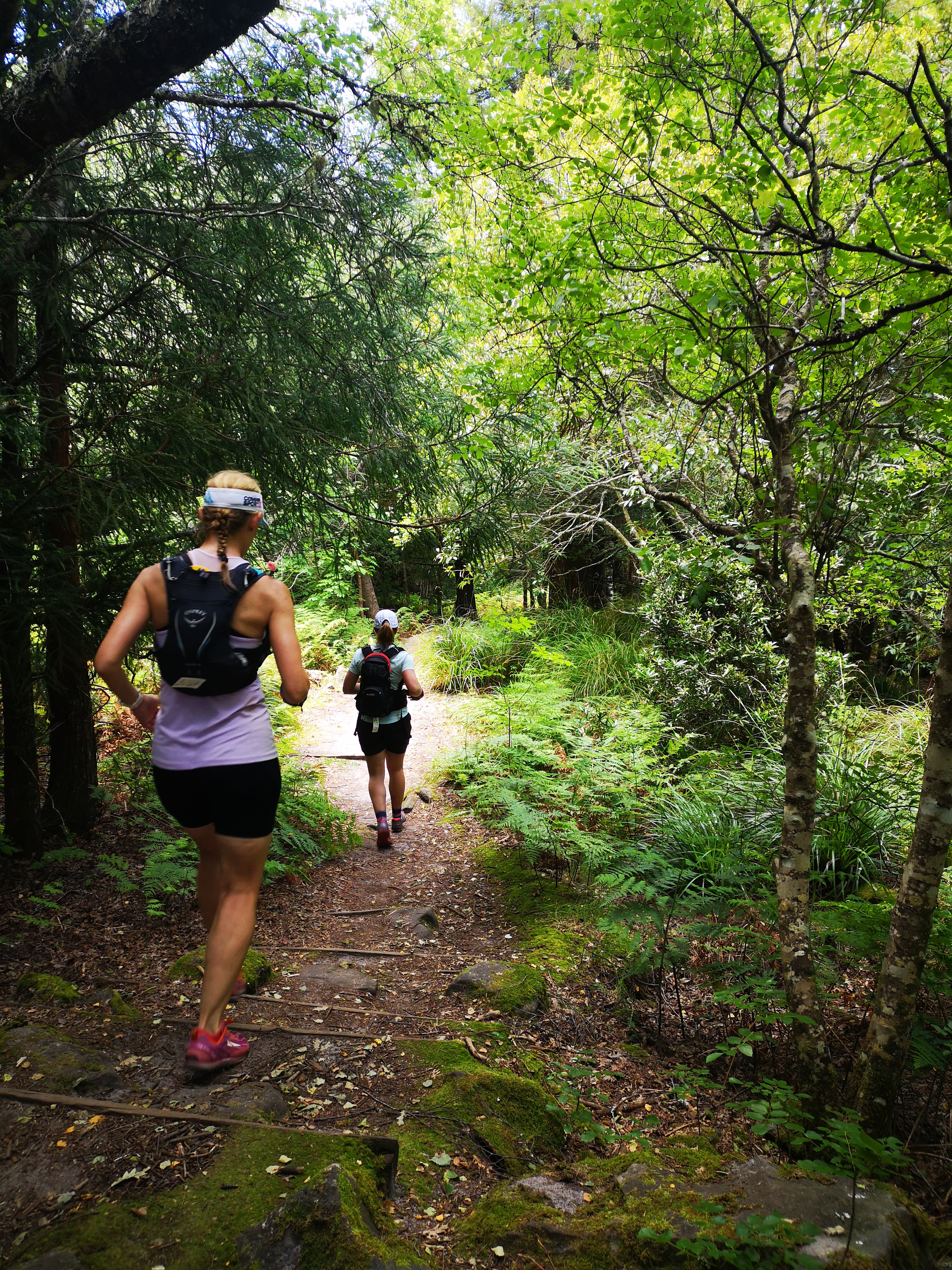 During the descent of Nursery Ravine.